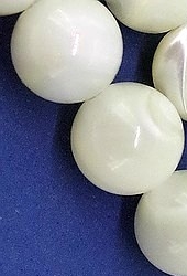 MOP shell Round Beads