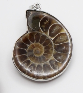 Ammonite Pendants (Small 22-25mm)
